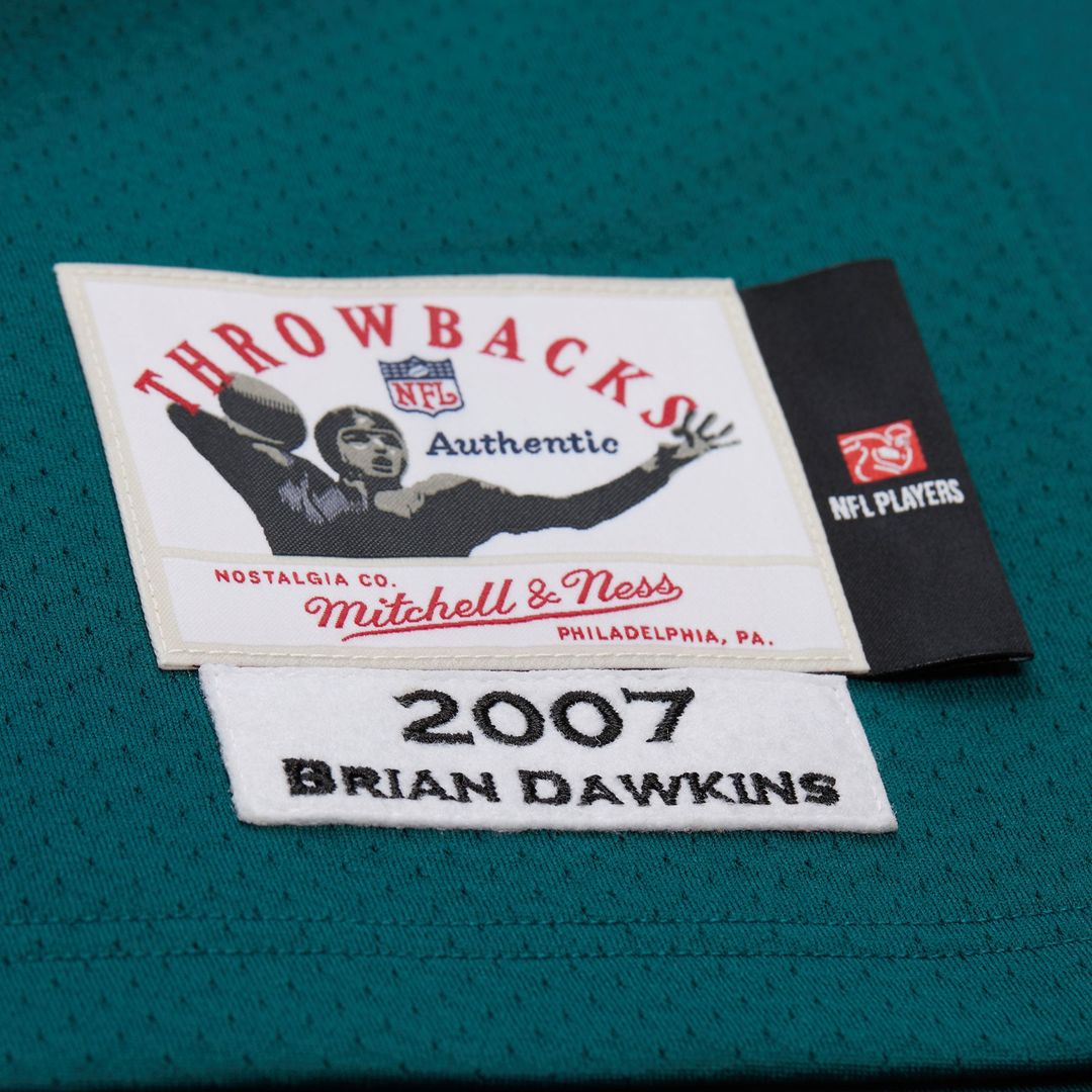 Brian Dawkins Philadelphia Eagles Green 2007 Authentic Throwback Retired Player Jersey