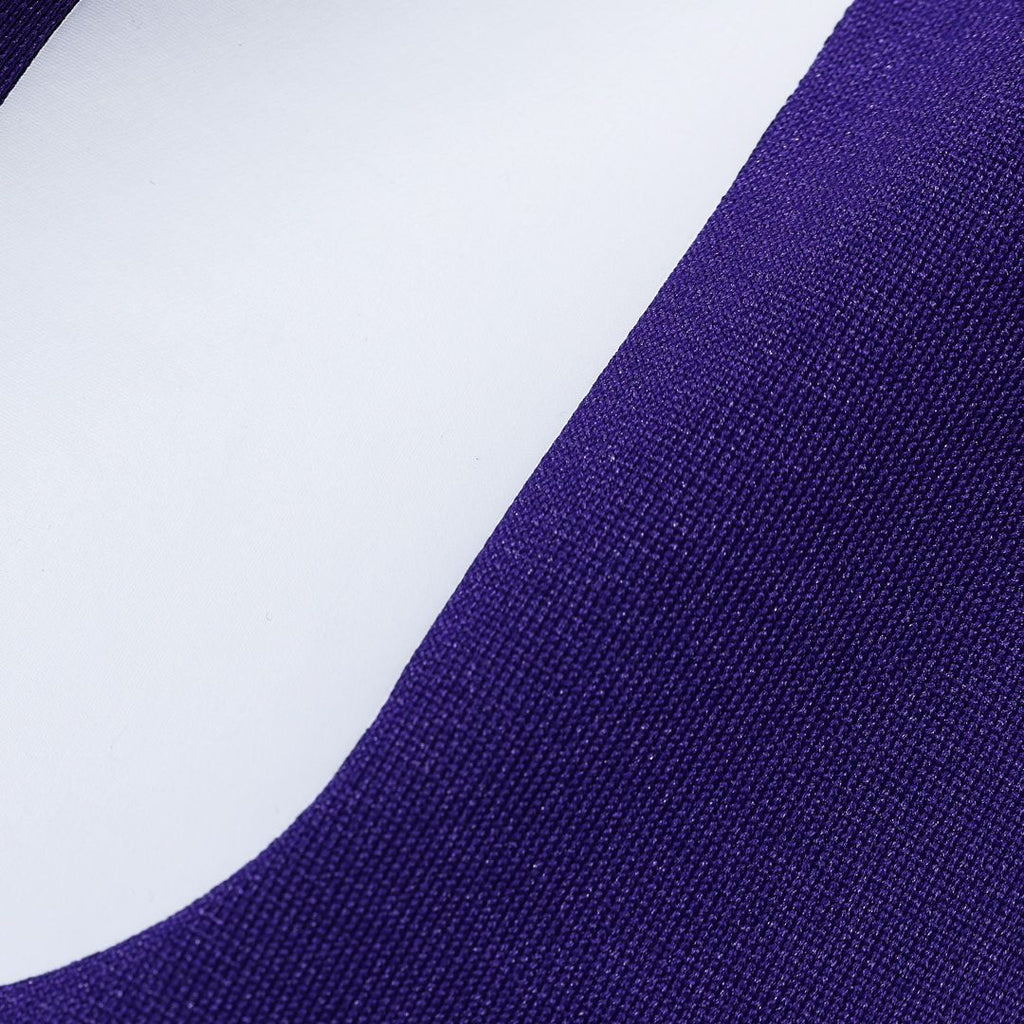 Andrew Van Ginkel Minnesota Vikings Purple Team Game Jersey